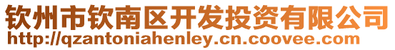 欽州市欽南區開發投資有限公司