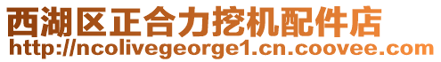 西湖區正合力挖機配件店