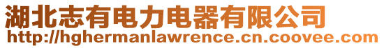 湖北志有電力電器有限公司