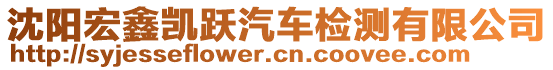 沈陽宏鑫凱躍汽車檢測有限公司