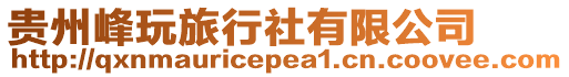 貴州峰玩旅行社有限公司