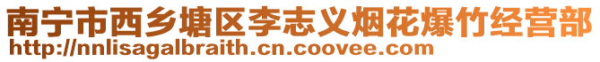 南寧市西鄉塘區李志義煙花爆竹經營部