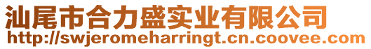汕尾市合力盛實(shí)業(yè)有限公司