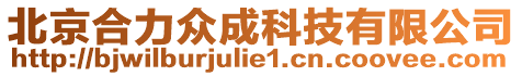 北京合力眾成科技有限公司