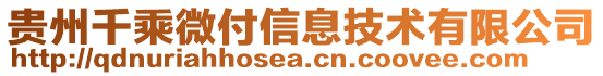 贵州千乘微付信息技术有限公司