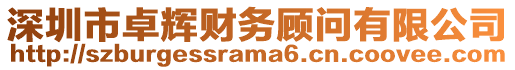 深圳市卓輝財(cái)務(wù)顧問有限公司