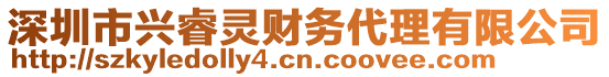 深圳市興睿靈財務(wù)代理有限公司