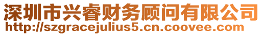 深圳市興睿財(cái)務(wù)顧問(wèn)有限公司