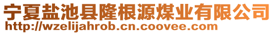 寧夏鹽池縣隆根源煤業(yè)有限公司