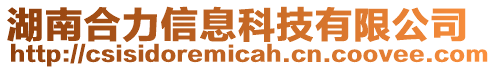 湖南合力信息科技有限公司