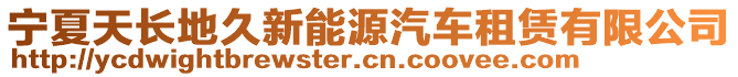 寧夏天長地久新能源汽車租賃有限公司