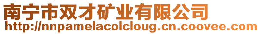 南寧市雙才礦業有限公司