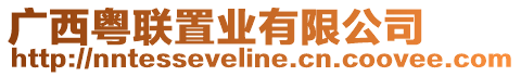 廣西粵聯(lián)置業(yè)有限公司