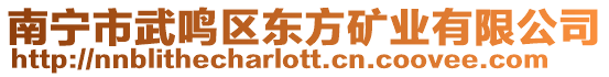 南寧市武鳴區東方礦業有限公司