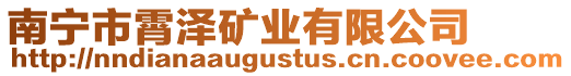 南寧市霄澤礦業(yè)有限公司