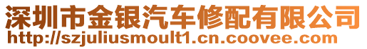 深圳市金銀汽車修配有限公司