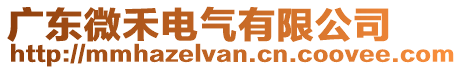 廣東微禾電氣有限公司