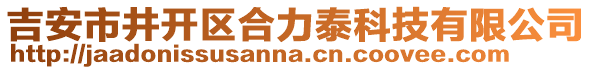 吉安市井開區(qū)合力泰科技有限公司