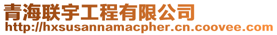 青海聯(lián)宇工程有限公司