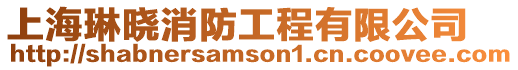 上海琳曉消防工程有限公司