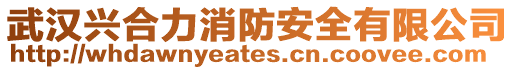 武漢興合力消防安全有限公司