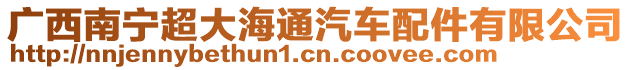 廣西南寧超大海通汽車配件有限公司