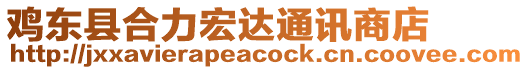 雞東縣合力宏達通訊商店