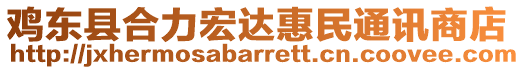 雞東縣合力宏達惠民通訊商店