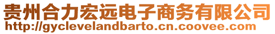 貴州合力宏遠電子商務有限公司