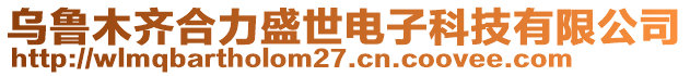 烏魯木齊合力盛世電子科技有限公司