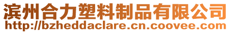 濱州合力塑料制品有限公司