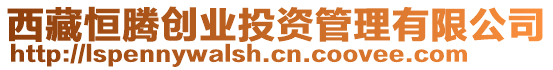 西藏恒騰創(chuàng)業(yè)投資管理有限公司