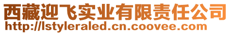 西藏迎飛實業(yè)有限責(zé)任公司