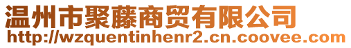 溫州市聚藤商貿有限公司