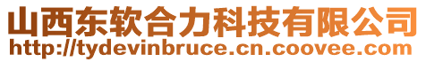 山西東軟合力科技有限公司