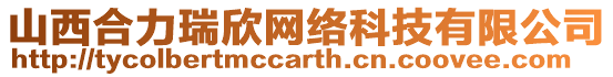 山西合力瑞欣網絡科技有限公司