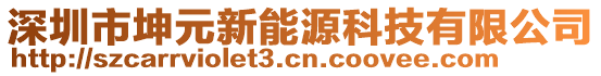 深圳市坤元新能源科技有限公司