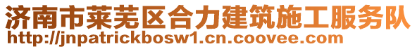 濟(jì)南市萊蕪區(qū)合力建筑施工服務(wù)隊(duì)