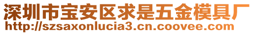 深圳市寶安區(qū)求是五金模具廠