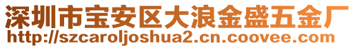 深圳市寶安區(qū)大浪金盛五金廠