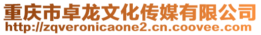 重慶市卓龍文化傳媒有限公司
