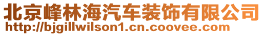 北京峰林海汽車裝飾有限公司
