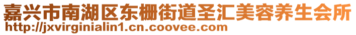 嘉興市南湖區東柵街道圣匯美容養生會所