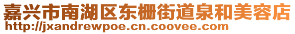 嘉興市南湖區(qū)東柵街道泉和美容店