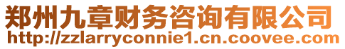 鄭州九章財務咨詢有限公司