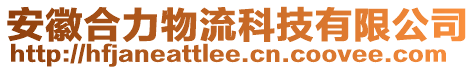 安徽合力物流科技有限公司