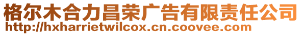 格爾木合力昌榮廣告有限責任公司