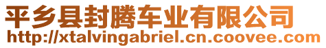 平鄉(xiāng)縣封騰車業(yè)有限公司