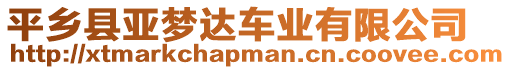 平鄉(xiāng)縣亞夢達車業(yè)有限公司