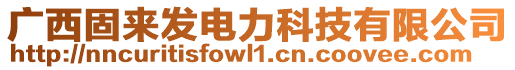 廣西固來發(fā)電力科技有限公司